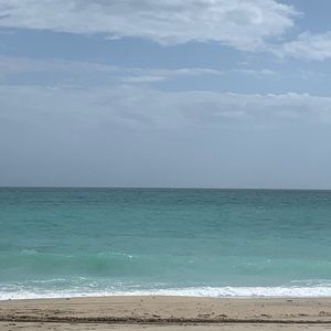 Meet your Posher, Trinity